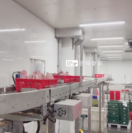 屠宰肉類分割輸送線